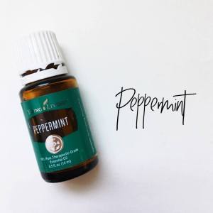 18275248_10104516248334102_293844842250722960_n