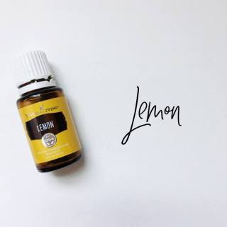 18423769_10100165647983398_2937542817498401268_n